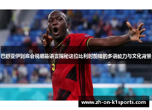 巴舒亚伊到底会说哪些语言揭秘这位比利时前锋的多语能力与文化背景