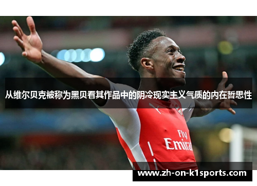 从维尔贝克被称为黑贝看其作品中的阴冷现实主义气质的内在哲思性