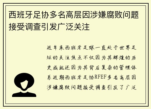 西班牙足协多名高层因涉嫌腐败问题接受调查引发广泛关注 西班牙足协多名高层因涉嫌腐败问题接受调查引发广泛关注
